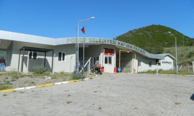 Posof hayvan pazarı yeniden açıldı