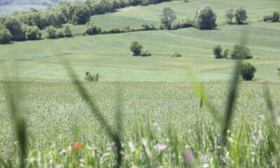 Prof. Dr. Orman: “Toprak, gıdanın sigortasıdır”