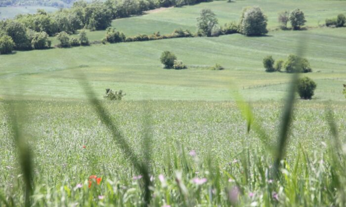 Prof. Dr. Orman: “Toprak, gıdanın sigortasıdır”