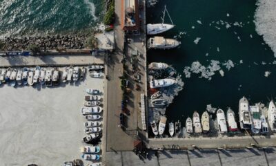 Prof. Dr. Yiğit: “Canlı avladığınız ya da tezgahlardaki balıkları tüketebilirsiniz”