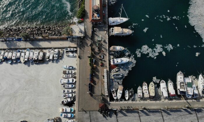 Prof. Dr. Yiğit: “Canlı avladığınız ya da tezgahlardaki balıkları tüketebilirsiniz”