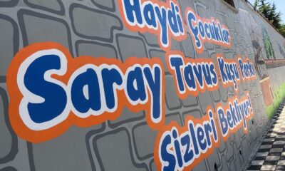 Pursaklar’da duvarlar renklendi