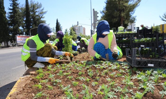 Refüj ve kavşaklarda bakım çalışmaları
