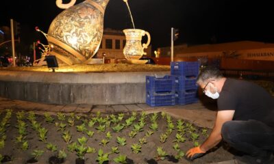 Refüjler mevsimlik çiçeklerle donatılıyor