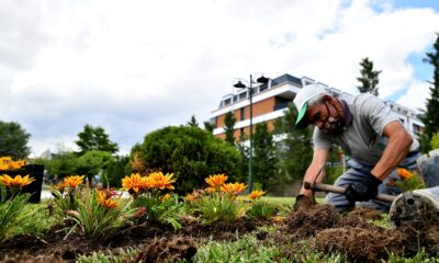 Rengarenk çiçekler Tepebaşı’nı süslüyor