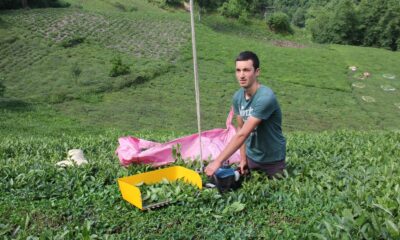 Rizeli kıvrak zekası ile çay toplamayı kolaylaştırdı