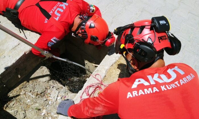 Rögara düşen yavru kediyi Kuşadası AKUT ekibi kurtardı