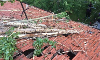 Rüzgarın devirdiği ağaç çatıda hasara neden oldu