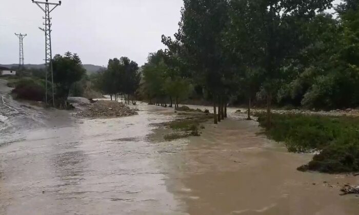 Sağanak yağış dereyi taşırdı