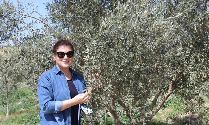 Sağlıklı bireyler için doğal beslenmeyi seçin