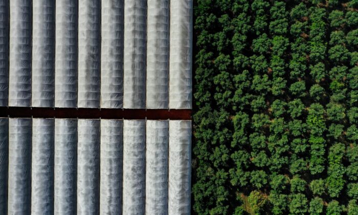 Sağlıklı Çevre Temiz Antalya Fotoğraf Yarışması sonuçlandı