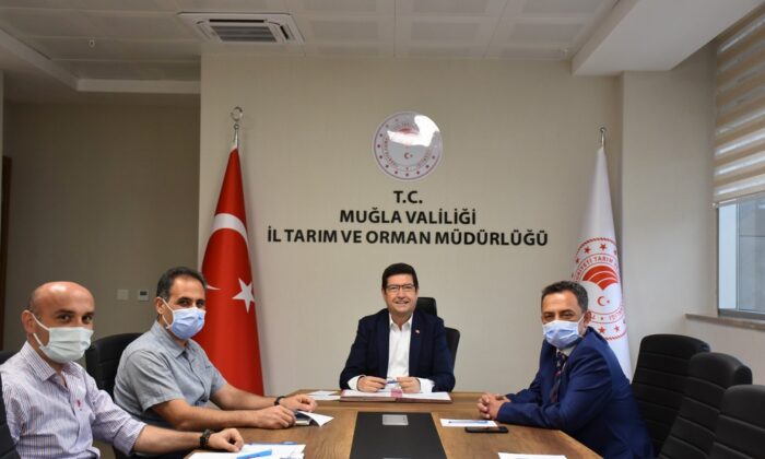 Sahipli kedi ve köpeklere pasaport