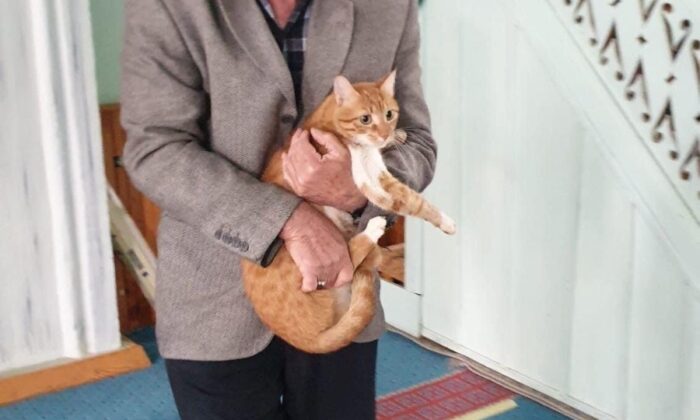 Saimbeyli’de cami görevlileri ve cemaat sokak hayvanlarına sahip çıkıyor