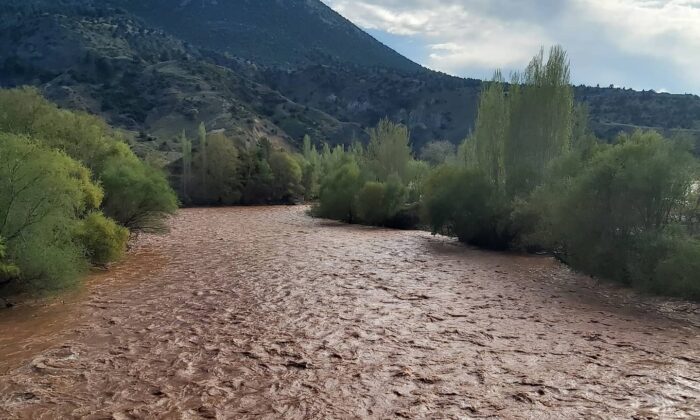 Sakarya nehri kızıla boyandı