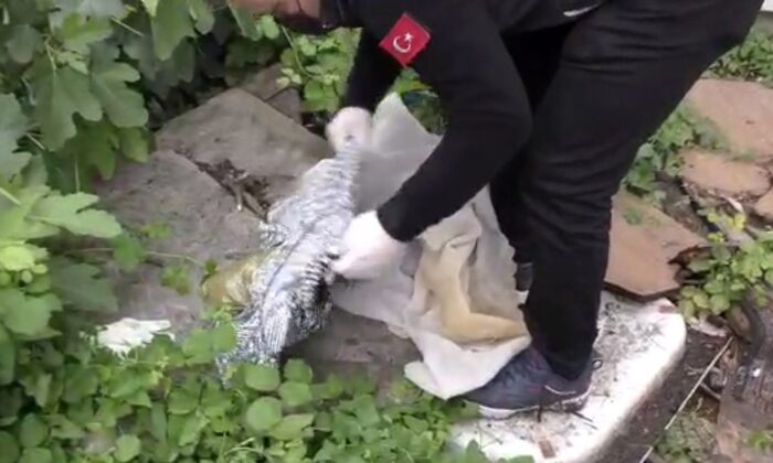 Sakarya Polisi uyuşturucu tacirlerinin nefesini kesti: 23 gözaltı