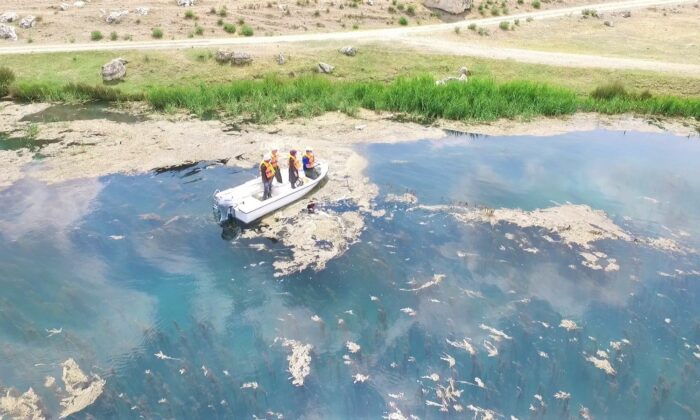 Sakaryabaşı’nda kontrol ve denetimler