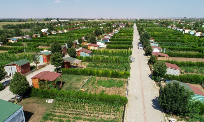 Salgın sürecinin stresini Meram Belediyesi Hobi Bahçelerinde atıyorlar
