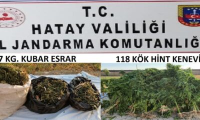 Samandağ’da jandarmadan uyuşturucu operasyonu