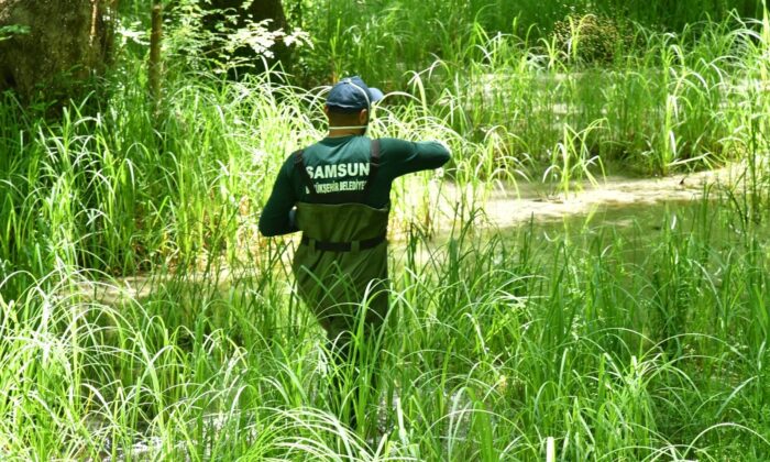 Samsun Büyükşehir Belediyesi 17 ilçede vektör mücadelesi başlattı