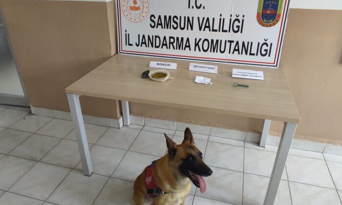 Samsun’a uyuşturucu sevkiyatı jandarmaya takıldı