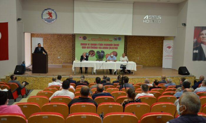Samsun’da “Manda ve Manda Etinin Ekonomik Önemi Gıda Sektöründeki Kullanım Çalıştayı”