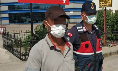 Samsun’da tarlaya ve demir yolu kenarına kenevir ekmeye gözaltı