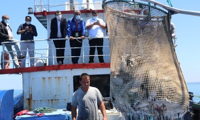 Samsun’da ‘Türk somonu’ hasadı