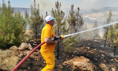 Şanlıurfa’da orman yangını