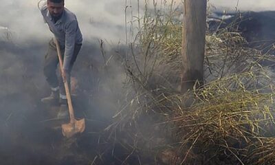 Şanlıurfa’da tarlada anız yakılması elektrik direklerine zarar verdi