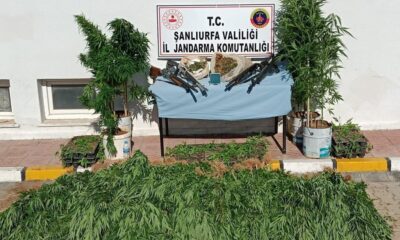 Şanlıurfa’da uyuşturucu operasyonu: 3 tutuklama