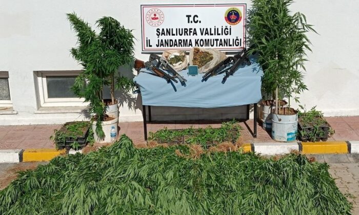 Şanlıurfa’da uyuşturucu operasyonu: 3 tutuklama