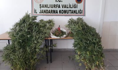 Şanlıurfa’da uyuşturucu operasyonunda 2 tutuklama