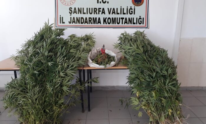 Şanlıurfa’da uyuşturucu operasyonunda 2 tutuklama