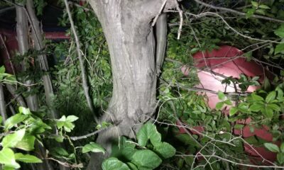 Şarampole uçan 2 araçtaki sürücülerin hayatlarını uçuruma 2 metre kala ağaç kurtardı