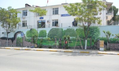 Sardunya festivali öncesinde duvarlara hayat veriyorlar