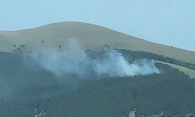 Sarıkamış’ta örtü yangını