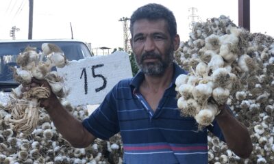Sarımsakta üretim arttı fiyat düştü