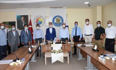 Sarıulak zeytinyağı tescillendi