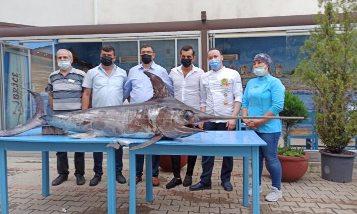 Saros Körfezi’nde yakalanan dev kılıçbalığı ilgi odağı oldu
