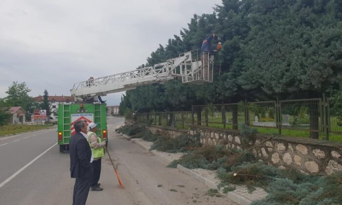 Şehir mezarlığında bakım onarım çalışmaları başladı