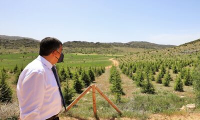 Şehitkamil’de 197 bin 784 fidan toprakla buluşturuldu