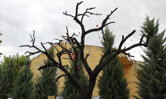 Şehitlik Ağacı’ndan asker künyelerini çalan şüpheliler yakalandı