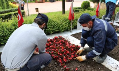 Şehitlikler çiçek açtı