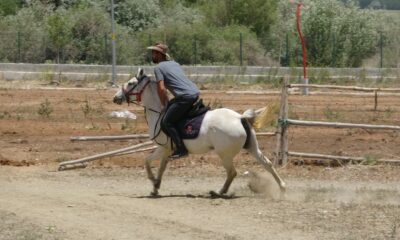 Selçuklu ve Osmanlı konulu diziler biniciliğe ilgiyi artırdı