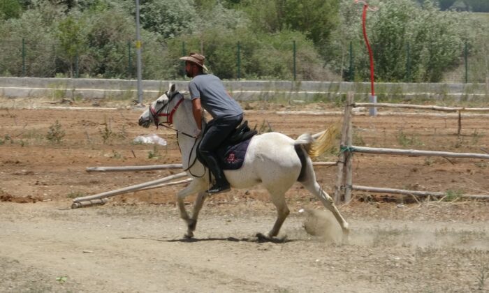 Selçuklu ve Osmanlı konulu diziler biniciliğe ilgiyi artırdı