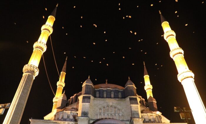 Selimiye Camisi üzerinde martıların görsel şöleni