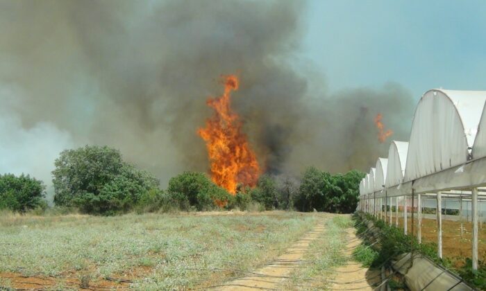 Serik’teki yangına havadan karadan müdahale ediliyor
