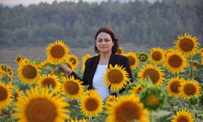 Şevkin: “Ayçiçeği tüketimini üreterek karşılamalıyız”