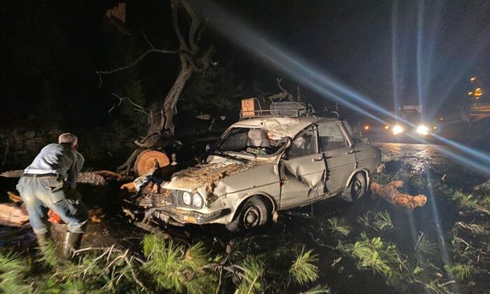 Seyir halindeki otomobilin üzerine ağaç devrildi: 2 yaralı