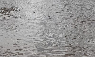 Seyitgazi’de sel felaketi